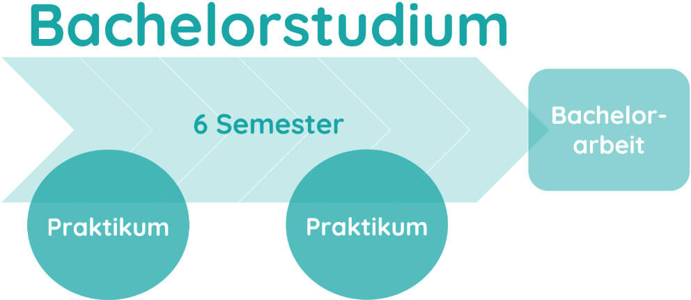 Ein Pfeil veranschaulicht, dass es im 6-semestrigen Bachelorstudium bereits zwei Praxisphasen gibt und dass dieser Studienabschnitt mit der Bachelorarbeit abschließt. 